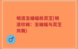 明清玉蝙蝠和灵芝(明清珍稀：玉蝙蝠与灵芝共舞)