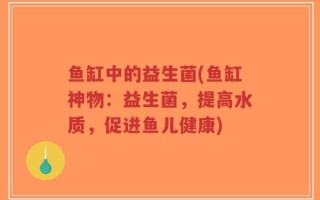 鱼缸中的益生菌(鱼缸神物：益生菌，提高水质，促进鱼儿健康)