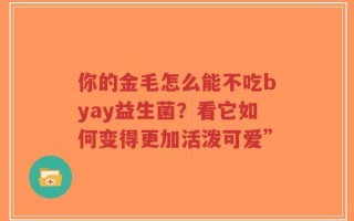 你的金毛怎么能不吃byay益生菌？看它如何变得更加活泼可爱”