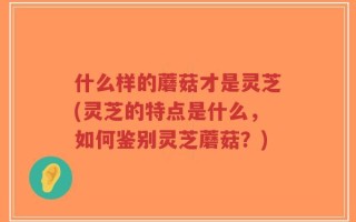 什么样的蘑菇才是灵芝(灵芝的特点是什么，如何鉴别灵芝蘑菇？)