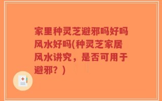 家里种灵芝避邪吗好吗风水好吗(种灵芝家居风水讲究，是否可用于避邪？)