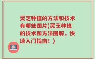 灵芝种植的方法和技术有哪些图片(灵芝种植的技术和方法图解，快速入门指南！)