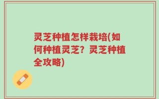 灵芝种植怎样栽培(如何种植灵芝？灵芝种植全攻略)