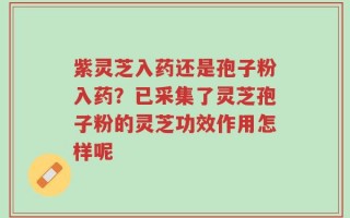 紫灵芝入药还是孢子粉入药？已采集了灵芝孢子粉的灵芝功效作用怎样呢