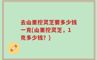 去山里挖灵芝要多少钱一克(山里挖灵芝，1克多少钱？)