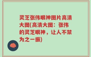 灵芝张伟眼神图片高清大图(高清大图：张伟的灵芝眼神，让人不禁为之一振)