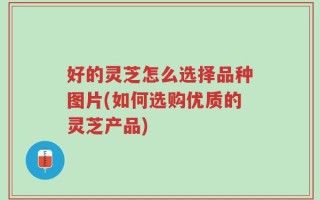 好的灵芝怎么选择品种图片(如何选购优质的灵芝产品)