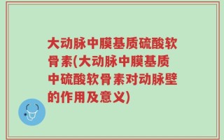大动脉中膜基质硫酸软骨素(大动脉中膜基质中硫酸软骨素对动脉壁的作用及意义)