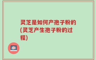 灵芝是如何产孢子粉的(灵芝产生孢子粉的过程)
