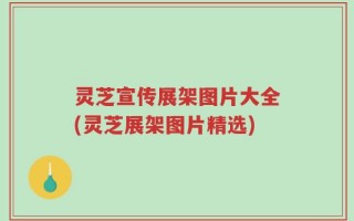 灵芝宣传展架图片大全(灵芝展架图片精选)