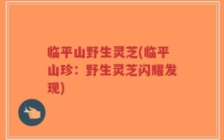 临平山野生灵芝(临平山珍：野生灵芝闪耀发现)
