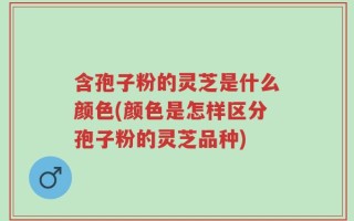 含孢子粉的灵芝是什么颜色(颜色是怎样区分孢子粉的灵芝品种)