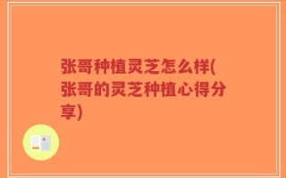 张哥种植灵芝怎么样(张哥的灵芝种植心得分享)