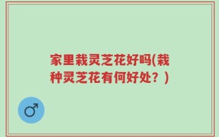 家里栽灵芝花好吗(栽种灵芝花有何好处？)