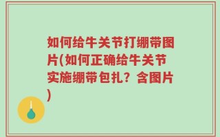 如何给牛关节打绷带图片(如何正确给牛关节实施绷带包扎？含图片)