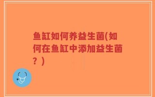 鱼缸如何养益生菌(如何在鱼缸中添加益生菌？)