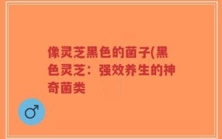 像灵芝黑色的菌子(黑色灵芝：强效养生的神奇菌类