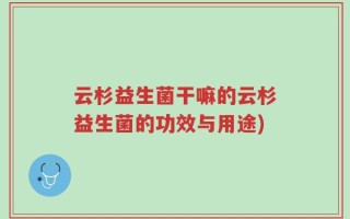 云杉益生菌干嘛的云杉益生菌的功效与用途)