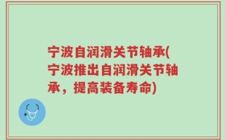 宁波自润滑关节轴承(宁波推出自润滑关节轴承，提高装备寿命)