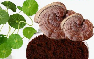 破壁灵芝孢子粉对癌症有效果吗？