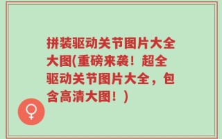 拼装驱动关节图片大全大图(重磅来袭！超全驱动关节图片大全，包含高清大图！)