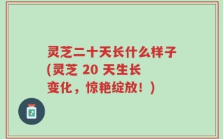 灵芝二十天长什么样子(灵芝 20 天生长变化，惊艳绽放！)
