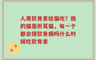 人用软骨素给猫吃？我的猫是折耳猫，每一个都会得软骨病吗什么时候吃软骨素