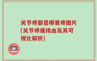 关节疼都是哪里疼图片(关节疼痛缘由及其可视化解析)