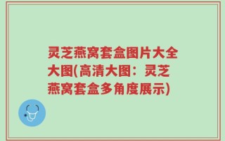 灵芝燕窝套盒图片大全大图(高清大图：灵芝燕窝套盒多角度展示)