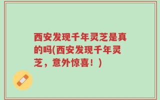 西安发现千年灵芝是真的吗(西安发现千年灵芝，意外惊喜！)