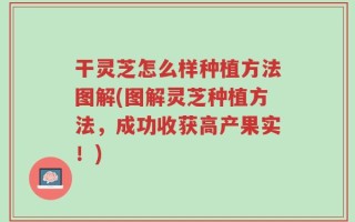干灵芝怎么样种植方法图解(图解灵芝种植方法，成功收获高产果实！)