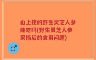 山上挖的野生灵芝人参能吃吗(野生灵芝人参采摘后的食用问题)