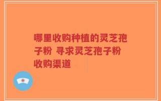 哪里收购种植的灵芝孢子粉 寻求灵芝孢子粉收购渠道
