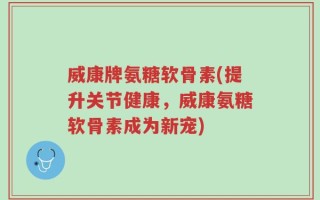 威康牌氨糖软骨素(提升关节健康，威康氨糖软骨素成为新宠)