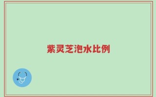 紫灵芝泡水比例