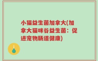 小猫益生菌加拿大(加拿大猫咪谷益生菌：促进宠物肠道健康)
