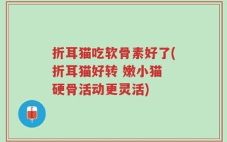 折耳猫吃软骨素好了(折耳猫好转 嫩小猫 硬骨活动更灵活)
