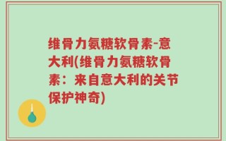 维骨力氨糖软骨素-意大利(维骨力氨糖软骨素：来自意大利的关节保护神奇)
