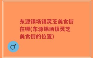 东源锡场镇灵芝美食街在哪(东源锡场镇灵芝美食街的位置)