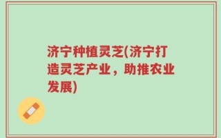 济宁种植灵芝(济宁打造灵芝产业，助推农业发展)