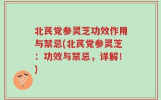 北芪党参灵芝功效作用与禁忌(北芪党参灵芝：功效与禁忌，详解！)