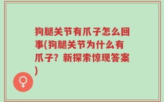 狗腿关节有爪子怎么回事(狗腿关节为什么有爪子？新探索惊现答案)