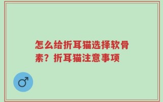 怎么给折耳猫选择软骨素？折耳猫注意事项