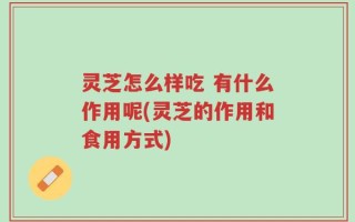 灵芝怎么样吃 有什么作用呢(灵芝的作用和食用方式)
