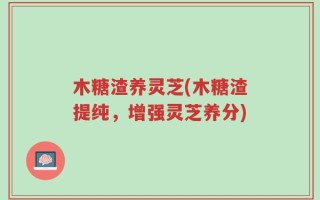 木糖渣养灵芝(木糖渣提纯，增强灵芝养分)