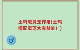 土鸡放灵芝作用(土鸡搭配灵芝大有益处！)
