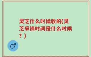 灵芝什么时候收的(灵芝采摘时间是什么时候？)