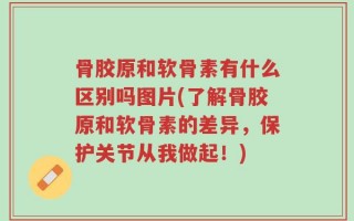 骨胶原和软骨素有什么区别吗图片(了解骨胶原和软骨素的差异，保护关节从我做起！)