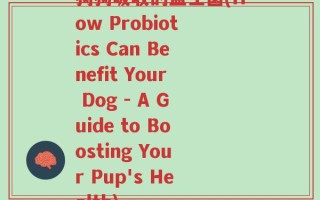 狗狗吸收的益生菌(How Probiotics Can Benefit Your Dog - A Guide to Boosting Your Pup's Health)