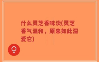 什么灵芝香味淡(灵芝香气温和，原来如此深爱它)